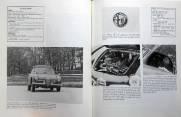 Benson "Illustrated Alfa Romeo Buyer's Guide" Alfa-Romeo History 1983 (7214)